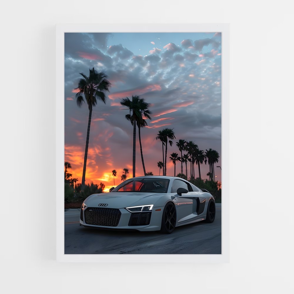 Poster Audi Paradise (vue 3)